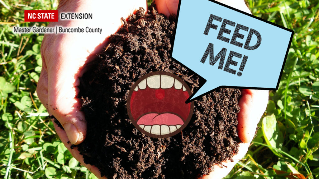 Gardening in the Mountains Presents: Feed the Soil – Using Soil