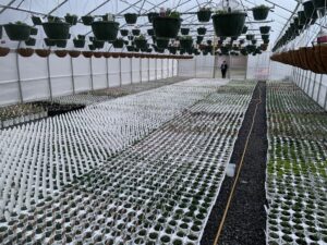 Cover photo for Gaston Grower Spotlight - March 2021