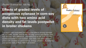 Cover photo for New Research on Xylanase, Other Feed Attributes in Broilers