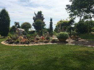 Cover photo for Ornamental Tree and Shrub Workshop