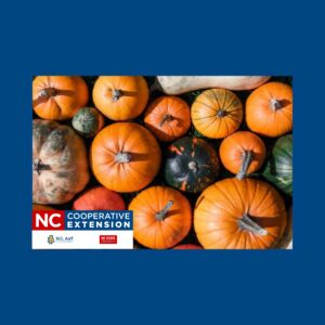 Cover photo for 4-H Youth Clover Class Series Pumpkin Planting