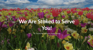 Cover photo for Spring 2021 Newsletter