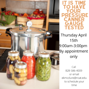 Cover photo for It Is Time to Have Your Pressure Canner Gauge Tested