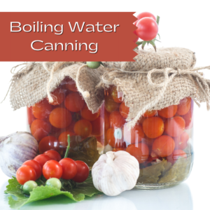 Two glass jars of tomatoes with cherry tomatoes and garlic