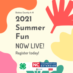 Cover photo for Stokes County 4-H 2021 Summer Fun Camps