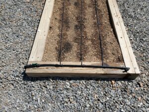 Cover photo for Gaston Grower Spotlight - April 2021