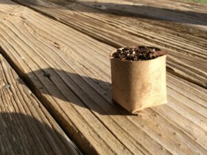 a pot of soil