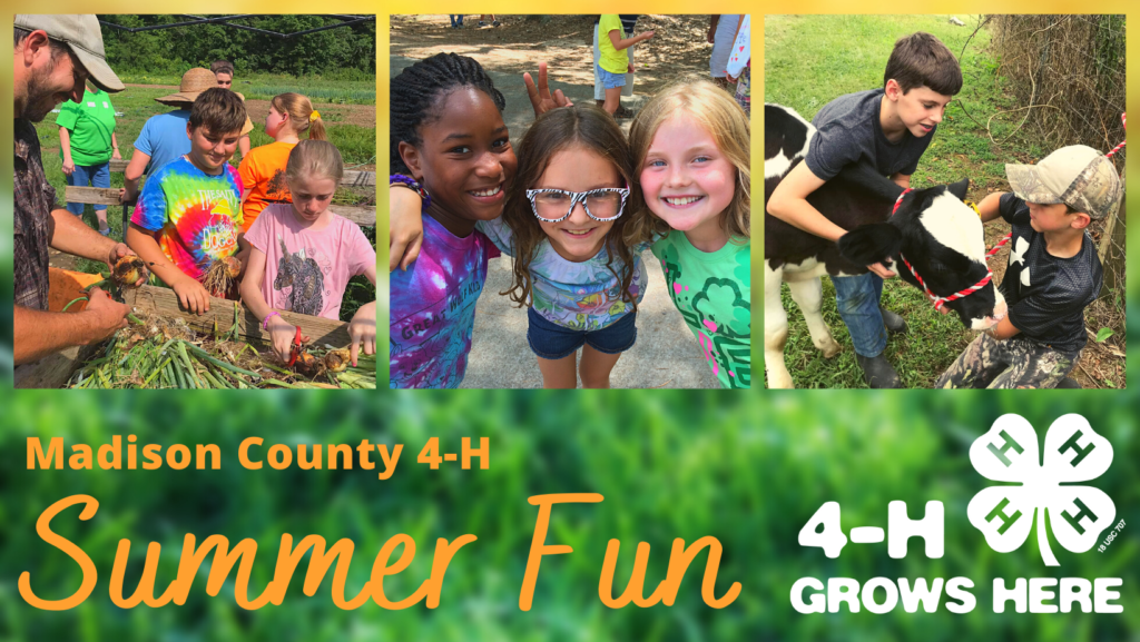 Come Have Fun With 4H Camps! N.C. Cooperative Extension