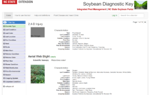 Cover photo for Introducing the New Soybean Diagnostic Key