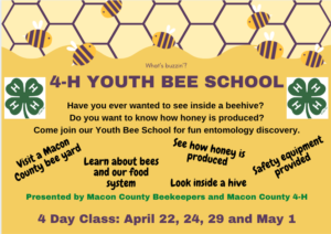 Youth Bee School Flyer