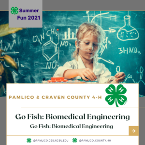 Cover photo for 4-H Summer Fun