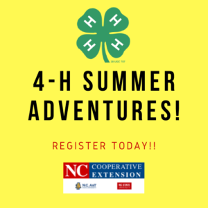 Cover photo for 4-H Summer Adventures