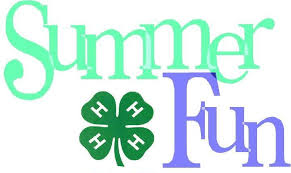 Cover photo for 4-H Summer Fun 2022