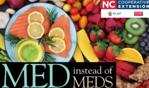 Plate with salmon and lemon surrounded by fruits and vegetables with Med instead of Meds logo