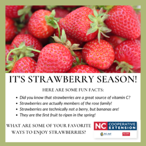 Cover photo for It's Strawberry Season!