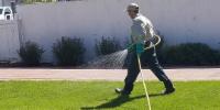man spraying pesticide on grass