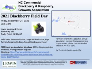 Cover photo for NC Commercial Blackberry and Raspberry Growers Association 2021 Field Day