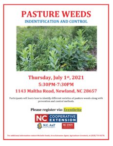 Cover photo for Pasture Weeds Identification and Control Workshop