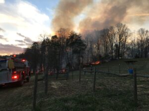 Cover photo for Friday Spotlight: Stokes County Forest Service