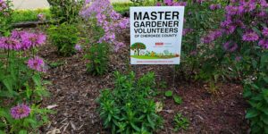 Cover photo for Spring 2023 Master Gardener Training