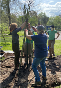 Cover photo for Master Gardener Volunteers Design Art Garden for Orchard Park