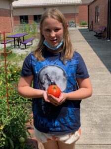 Cover photo for Dana Elementary School Garden