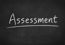 Guilford County Needs Assessment
