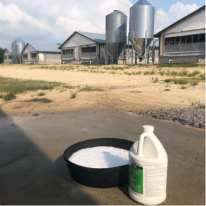 Cover photo for Farm Biosecurity: More Important Than Ever