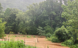 Flooded agricultural field