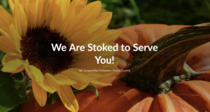 Cover photo for Fall 2021 Newsletter