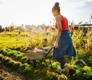 Cover photo for Small Farm Leadership 360 Initiative