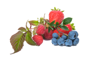 Strawberries and blueberries with stems