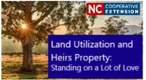 Cover photo for Land Utilization and Heirs Property: Standing on a Lot of Love