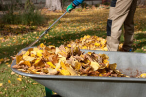 Cover photo for Recycling Leaves