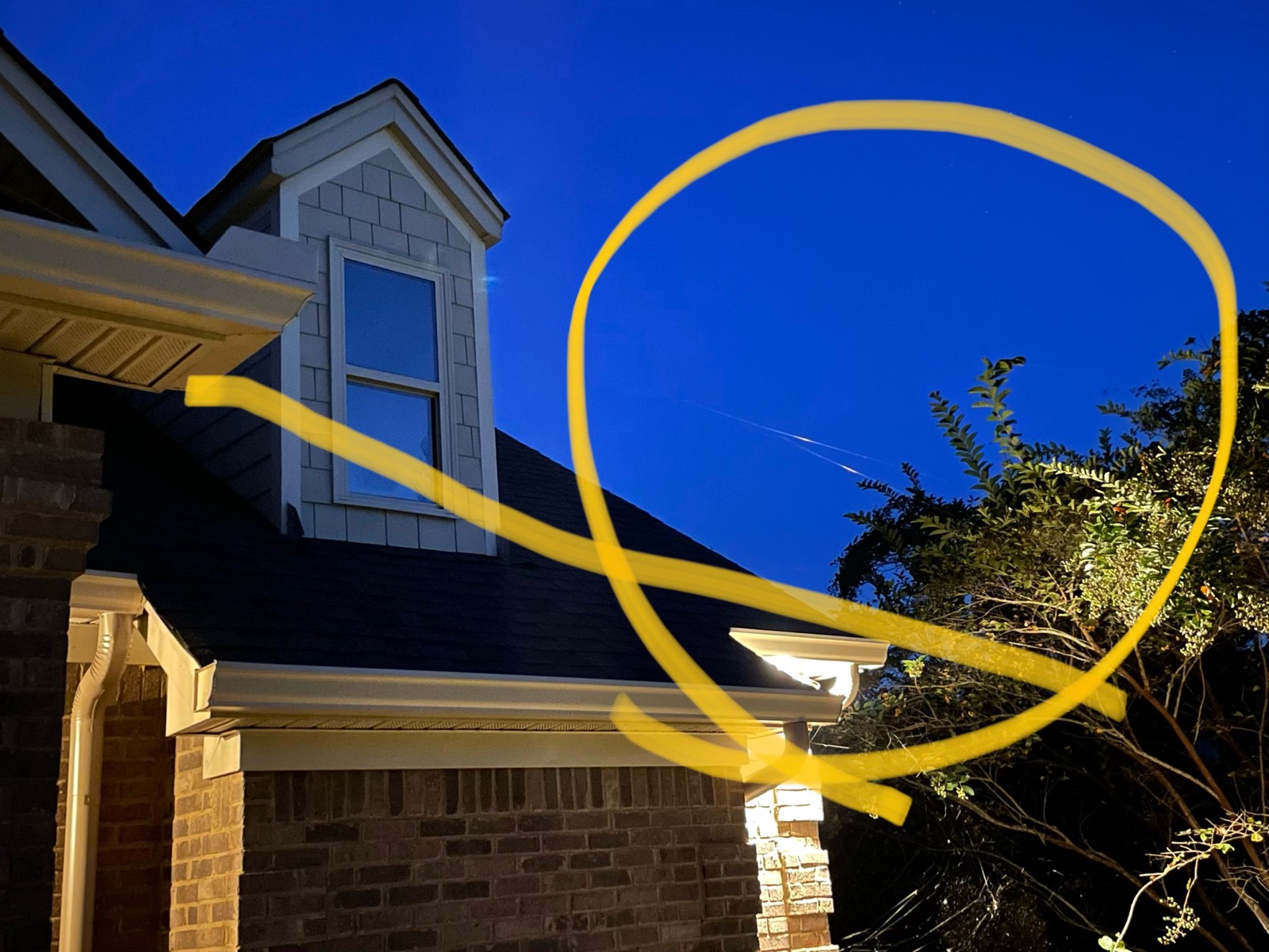 Giant Spider Invades North N.C. Cooperative Extension