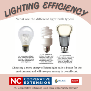 Cover photo for Light Bulb Types: What's the Difference?