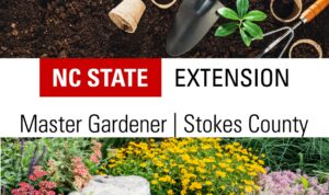Cover photo for Become an Extension Master Gardener Volunteer – Stokes County