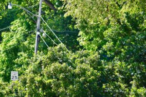 Cover photo for Be Food Safe Prepared During Power Outages