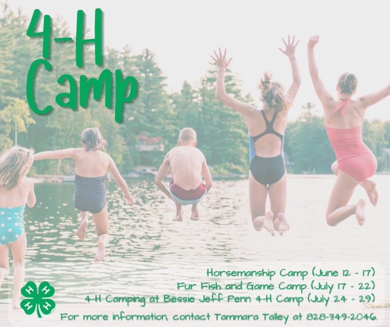 4H Camp Is Already on Our Minds! N.C. Cooperative Extension