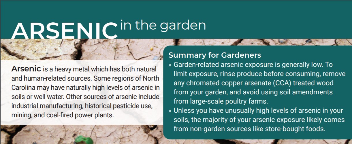 Arsenic in the Garden NC State Extension
