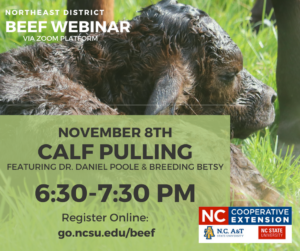 Cover photo for Beef Conference