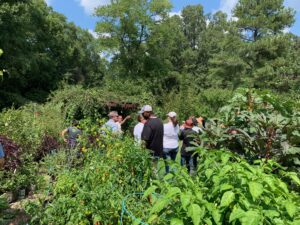 Cover photo for Enrolling Now - NC Farm School Northern Piedmont