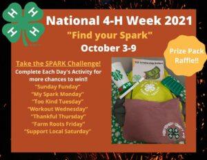 Cover photo for National 4-H Week, SPARK Challenge!