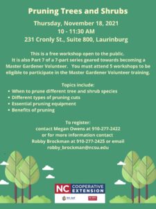 Cover photo for Pruning Trees and Shrubs