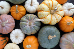 Cover photo for Pumpkins Are a Very Versatile Native Species