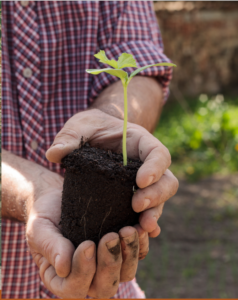 Cover photo for 2022 Farm School