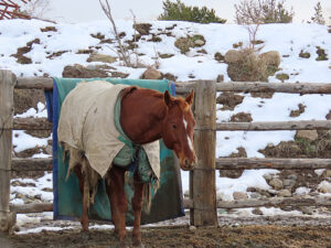 Cover photo for Dry Lots in Winter