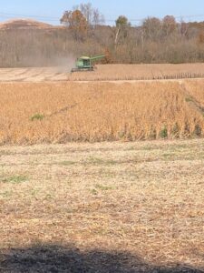 Cover photo for Gaston Grower Spotlight- November 2021