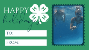 4-H Camp for Christmas Present