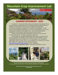 2022 summer internship flyer image